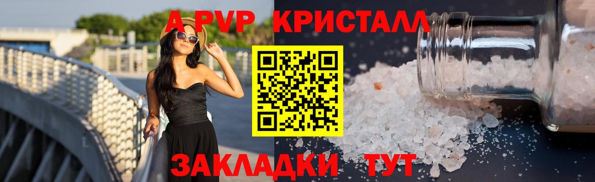 Alfa_PVP СК Майкоп