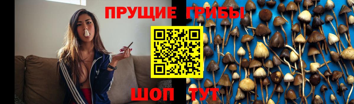 Псилоцибиновые грибы мухоморы  Псилоцибиновые грибы мухоморы  купить наркоту  Майкоп  Вход с VPN 